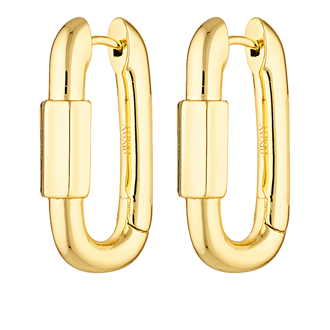 Carabiner inspired earrings 